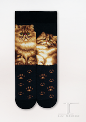 Cats - Persian Men Size