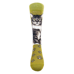 Cats - Maine Coon Women Size
