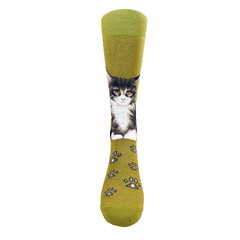 Cats - Maine Coon Women Size