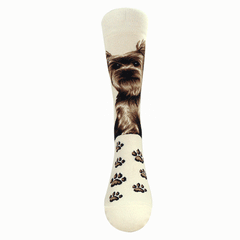 Dogs - Yorkshire Women Size