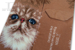 Cats - Persian cat face