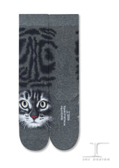Cats - American short hair face