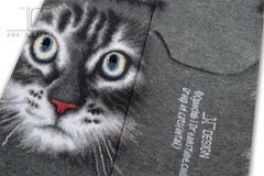 Cats - American short hair face