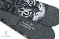Cats - American short hair face