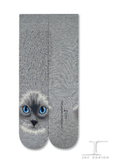 Cats - Ragdoll cat face