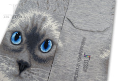 Cats - Ragdoll cat face