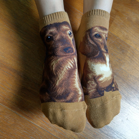 Dogs Ankles - Dachshund Brown
