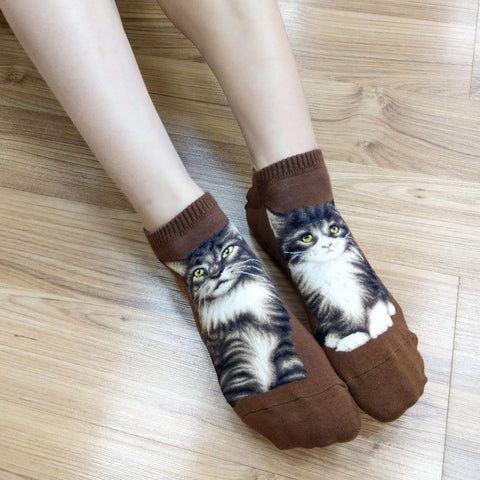 Cat Ankles - Maine Coon Brown