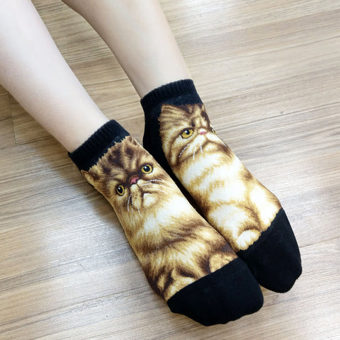 Cat Ankles - Persian Black