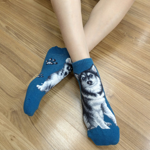 Dogs Ankles - Huskies Blue