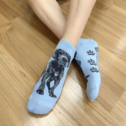 Dog Ankles - Great Dane Men Size