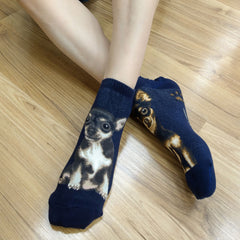Dogs Ankles - Chihuahua Navy
