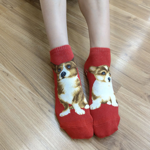 Dogs Ankles - Welsh Corgi Men Size Red