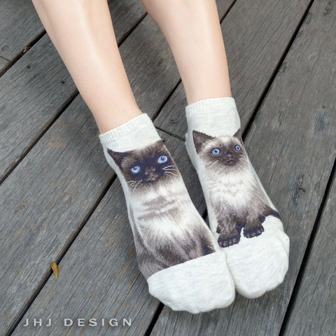 Cat Ankles - Himalayan Oatmeal
