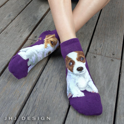 Dogs Ankles - Jack Russell Terrier
