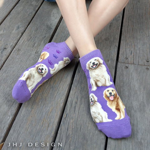 Dogs Ankles - Golden Retriever