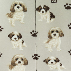 Havanese(Grey)
