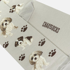 Havanese(Grey)
