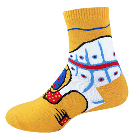 Indigenous Canadian Artist Norval Morrisseau Sacred Medicine Bear Quarter Socks