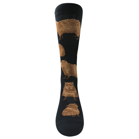 Chaossocks Capybara(Black)