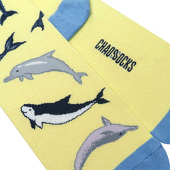 Chaossocks All over Dolphin(Yellow)