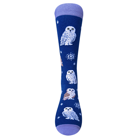 Chaossocks Snowflakes and Owls(Blue)