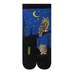 Chaossocks Moon and Owl