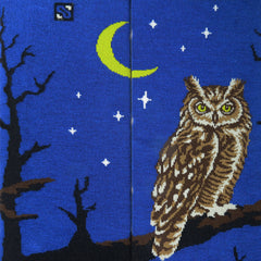 Chaossocks Moon and Owl