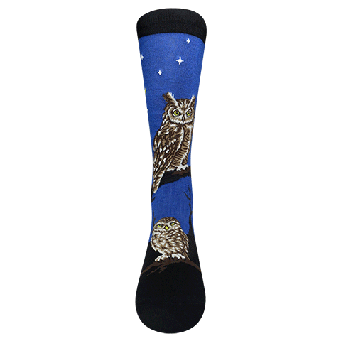 Chaossocks Moon and Owl
