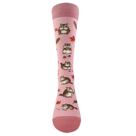 chipmunk(Pink)
