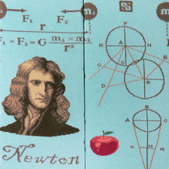 Chaossocks Newton