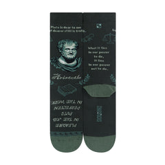 Aristotle(Grey)