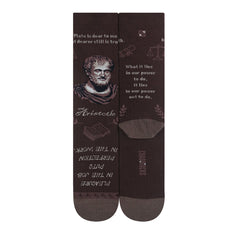 Aristotle(Brown)