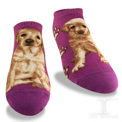 Dogs Ankles - Labrador Pink