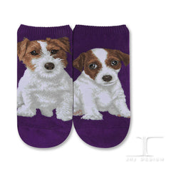 Dogs Ankles - Jack Russell Terrier