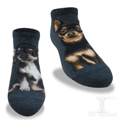 Dogs Ankles - Chihuahua Gray