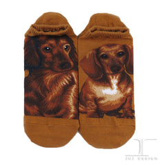Dogs Ankles - Dachshund Brown