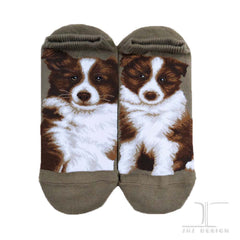 Dogs Ankles - Border Collie Taupe