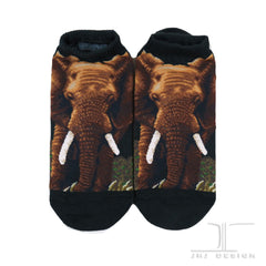Wild Life Ankles Elephant Socks