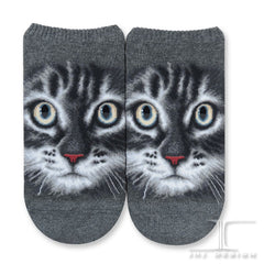Cat Ankles - American short hair face