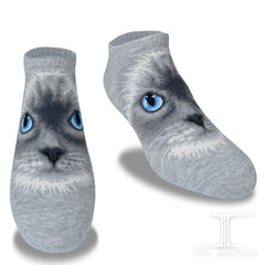 Cat Ankles - Ragdoll Face