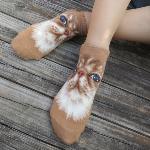 Cat Ankles - Persian Cat Face