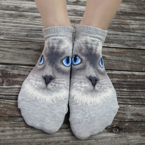 Cat Ankles - Ragdoll Face