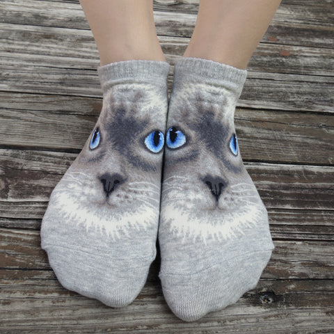 Cat Ankles - Ragdoll Face
