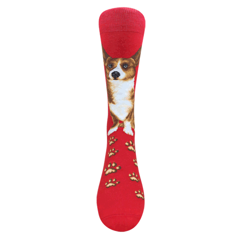 Dogs - Welsh Corgi Socks