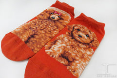 Dogs Ankles - Red Poodle