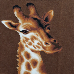 Wild Life - Giraffe