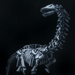 Dinosaurs - Apatosaurus/Brontosaurus