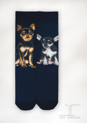 Dogs - Chihuahua One Size