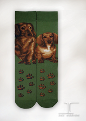 Dogs - Dachshund Men Size